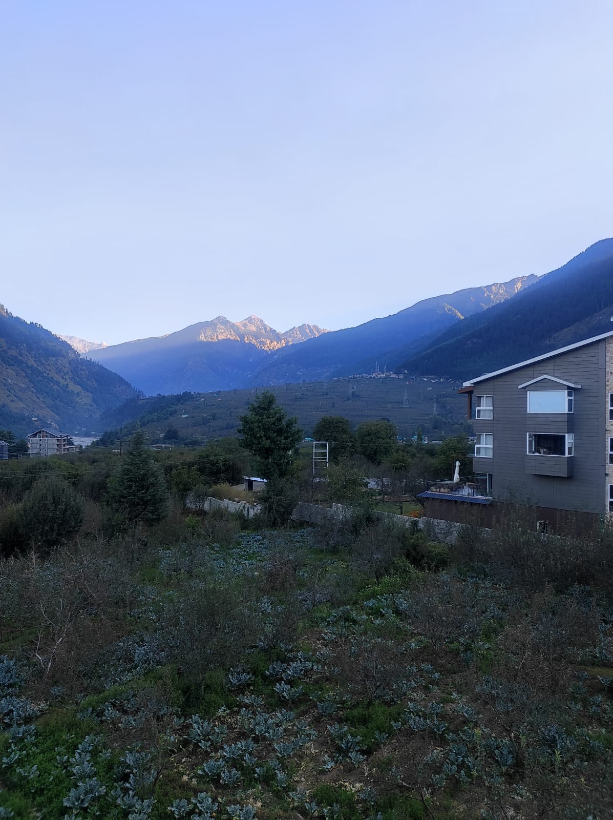Image 36